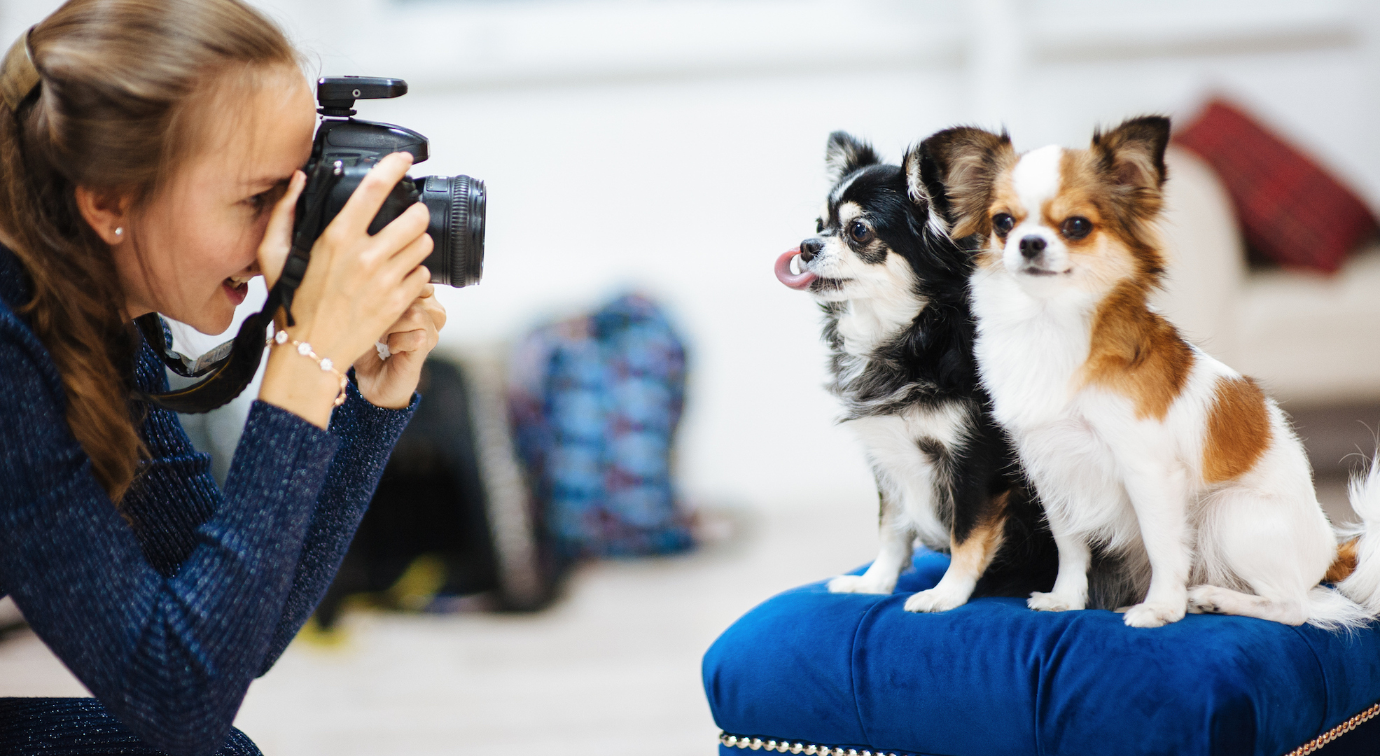 Love your pet? Keep their memory alive forever