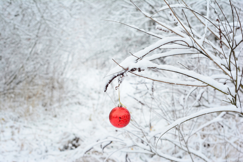 best snowy photography outside