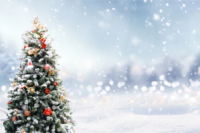 best snowy photography xmas tree