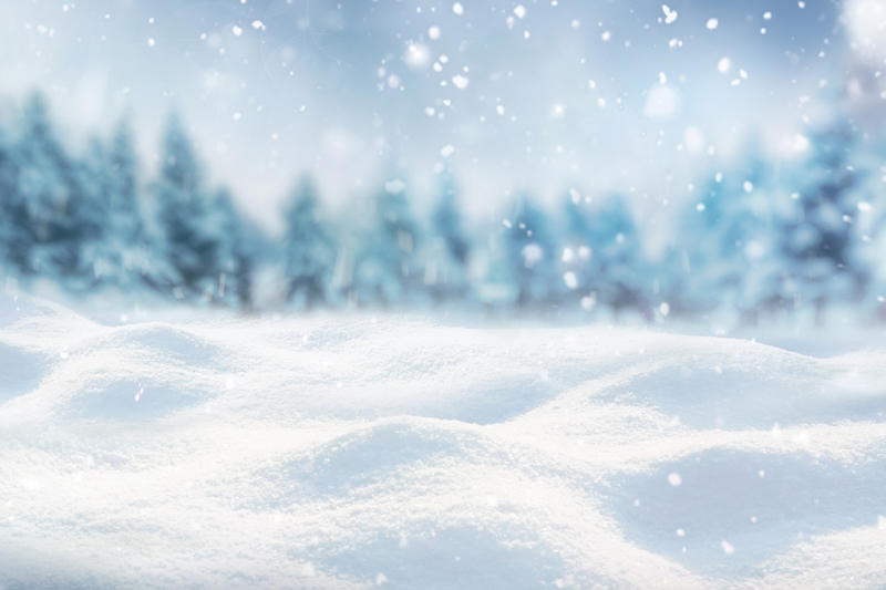 best snowy photography